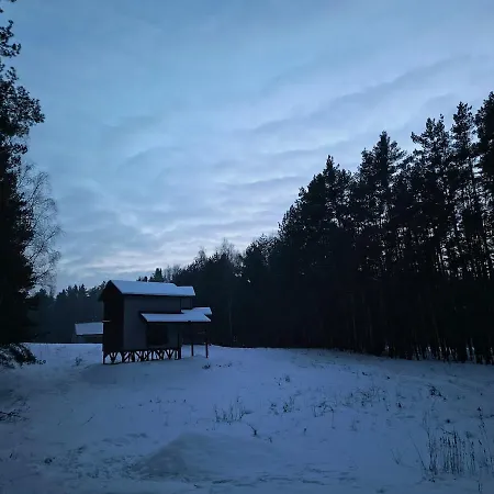 Chalet Prywatne Lesne W Drewnianym Domku Niedaleko Warszawa Ponurzyca